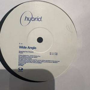 Hybrid Wide Angle *RECORD 2 ONLY* LP Near Mint (NM or M-) Generic